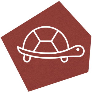 Simple line drawing of a turtle